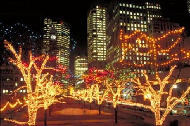 Canada's biggest Winter Festival of Lights to kick off on Nov 21